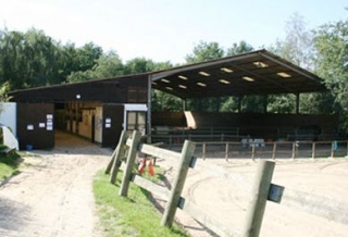  La escuela de equitación del centro ecuestre 